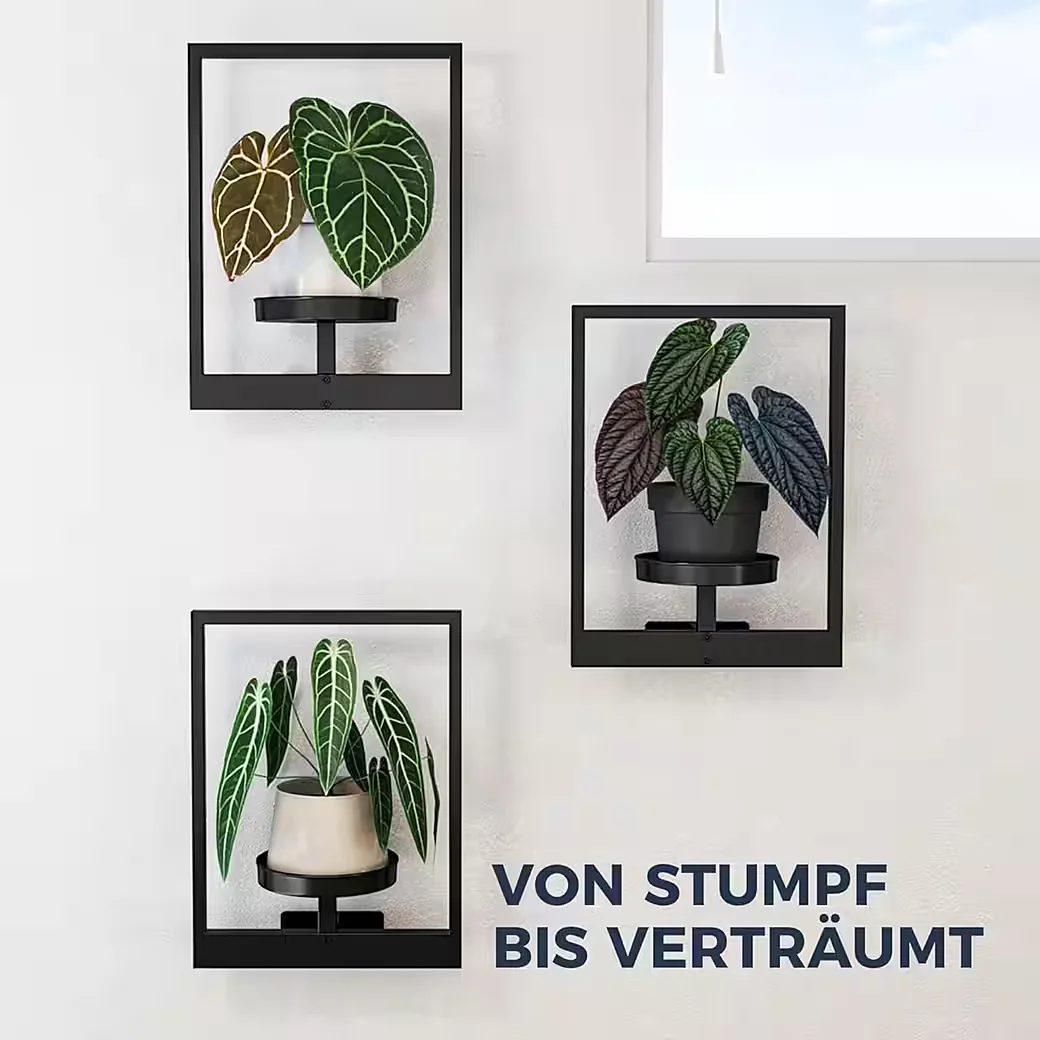 AIMAX Wand Pflanzenständer Set 3 für Innen und Außen Zimmerpflanzen
